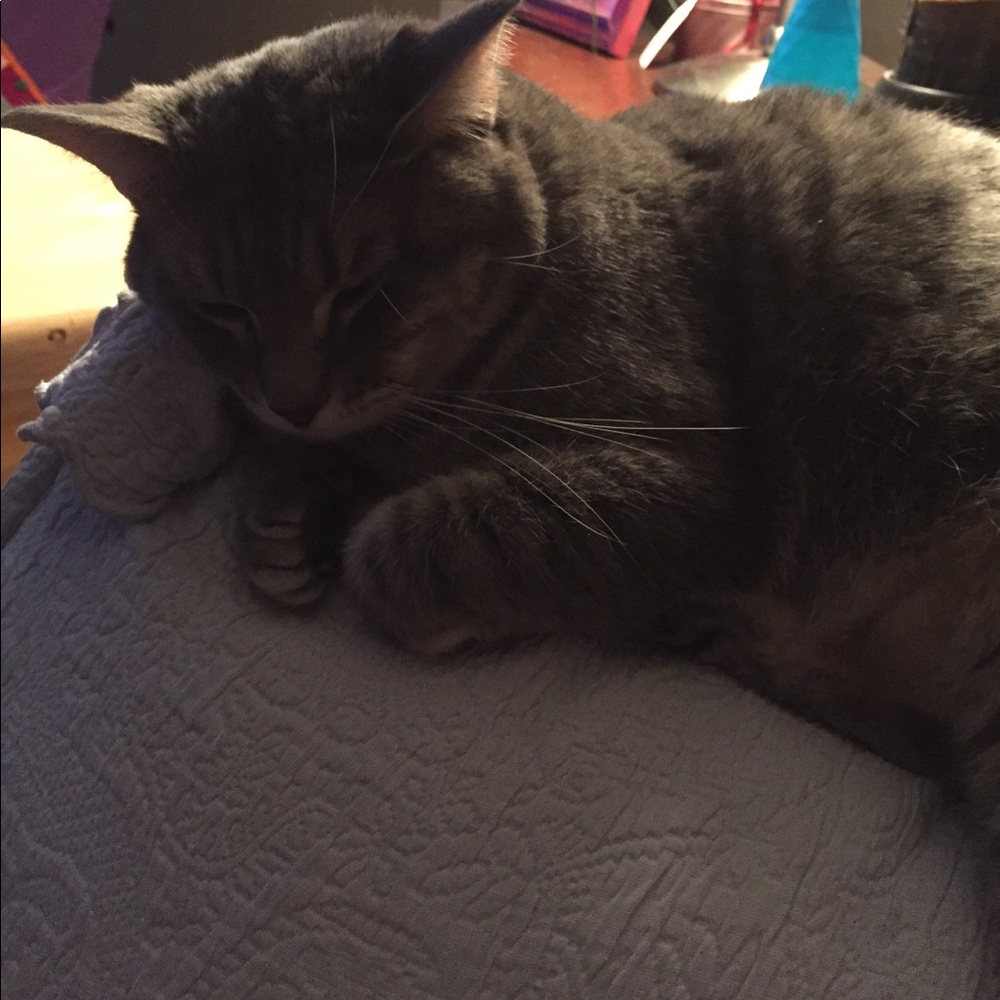 Meet your Posher, Purity